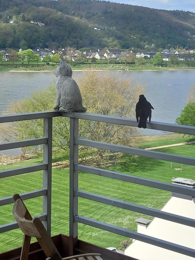 Rheinapartment 8 バート・ヘニンゲン エクステリア 写真